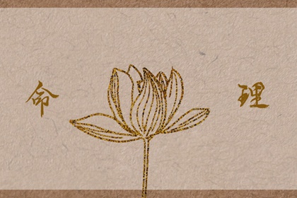 老皇历择吉,择吉皇历,择吉皇历老黄历